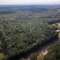 Calhoun County - 44 Acres - County Rd 331