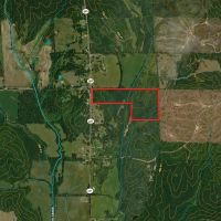 Calhoun County - 44 Acres - County Rd 331 images 2