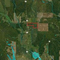 Calhoun County - 44 Acres - County Rd 331 images 3