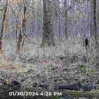 Highway 82 images 3