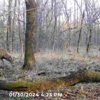 Highway 82 images 4