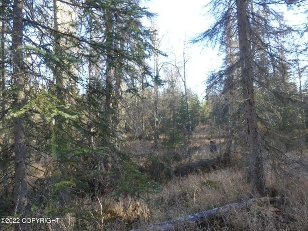 Remote close in off grid property featured image