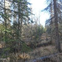 Remote close in off grid property