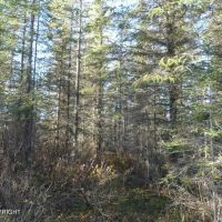 Remote close in off grid property images 3