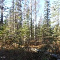 Remote close in off grid property images 4