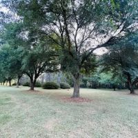 Ideal Home Pool Shop building on 34 acres Tylertown MS images 4