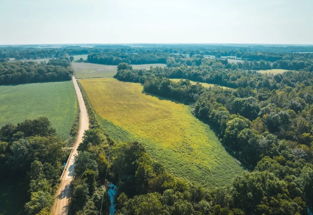 Logan Creek Farm Hunt featured image