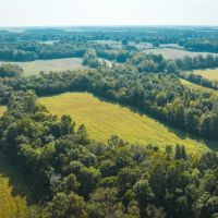 Logan Creek Farm Hunt images 3