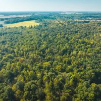 Logan Creek Farm Hunt images 4