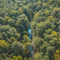 Logan Creek Farm Hunt images 5