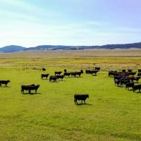 Phillips Creek Toponas Ranch images 4