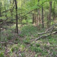 27-031-kings-bend-riverfront images 2