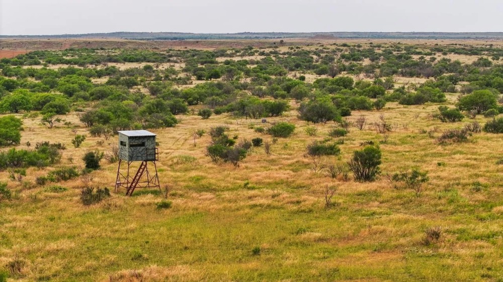 RS 42102 - 400 ac TBD FM 210 Holliday TX featured image