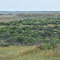 RS 42102 - 400 ac TBD FM 210 Holliday TX images 2