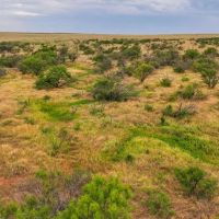 RS 42102 - 400 ac TBD FM 210 Holliday TX images 4