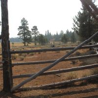 Hidden Creek 160 Acres images 3