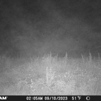 100 - ACRES HUNTINGTON COUNTY TILLABLE RECREATIONAL LAND FOR SALE images 4