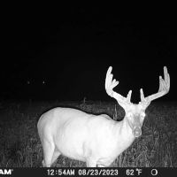 100 - ACRES HUNTINGTON COUNTY TILLABLE RECREATIONAL LAND FOR SALE images 5
