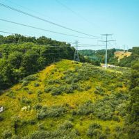 Glick Acres images 5