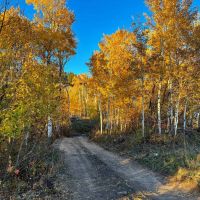 Bridger Foothills images 4