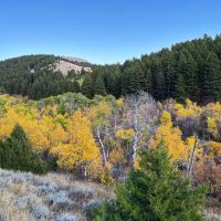 Bridger Foothills images 5