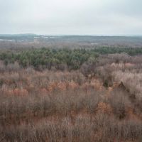 Butler Pond 65