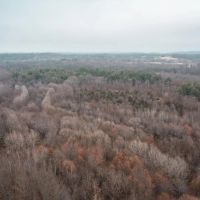 Butler Pond 65 images 2