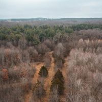 Butler Pond 65 images 4