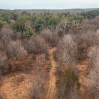 Butler Pond 65 images 5