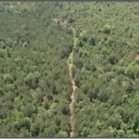 80 Acres in Clarke County in Pachuta MS