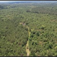 80 Acres in Clarke County in Pachuta MS images 2