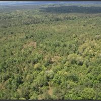 80 Acres in Clarke County in Pachuta MS images 3