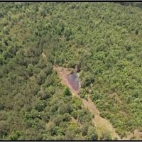 80 Acres in Clarke County in Pachuta MS images 5