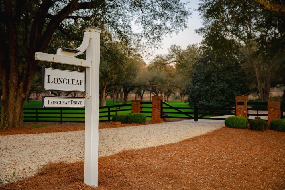 Longleaf featured image