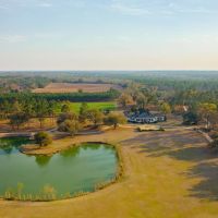 Longleaf images 5