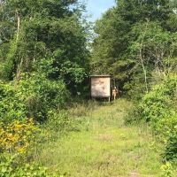 80 Acres Perry County MS Hunting Land for Sale