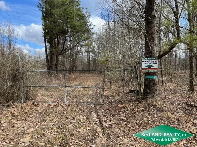 130 ac - Hunting Tract with Utilities Available for a Camp - PRICE REDUCED featured image