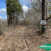 130 ac - Hunting Tract with Utilities Available for a Camp - PRICE REDUCED