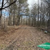 130 ac - Hunting Tract with Utilities Available for a Camp - PRICE REDUCED images 2