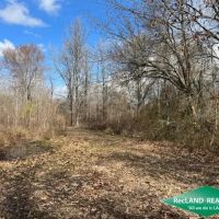 130 ac - Hunting Tract with Utilities Available for a Camp - PRICE REDUCED images 3