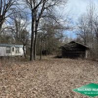130 ac - Hunting Tract with Utilities Available for a Camp - PRICE REDUCED images 4
