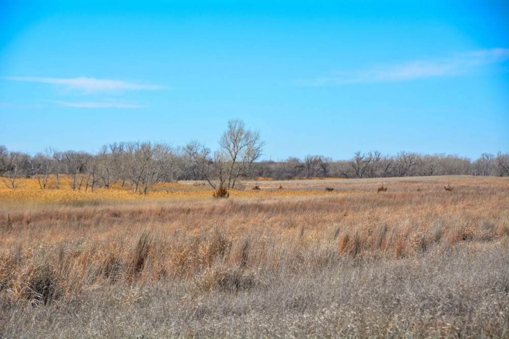 Rooks County Upland CRP featured image