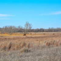 Rooks County Upland CRP