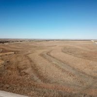 Rooks County Upland CRP images 3