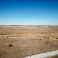 Rooks County Upland CRP images 4