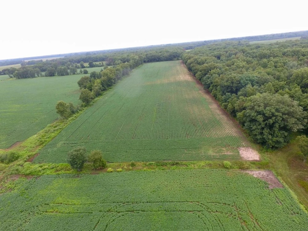 9 - Acres tillable for Sale - Pulaski County Indiana featured image