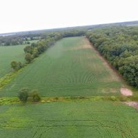 9 - Acres tillable for Sale - Pulaski County Indiana