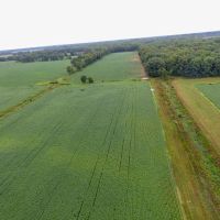 9 - Acres tillable for Sale - Pulaski County Indiana images 3