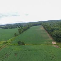 9 - Acres tillable for Sale - Pulaski County Indiana images 4