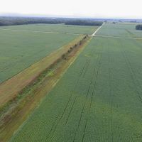 9 - Acres tillable for Sale - Pulaski County Indiana images 5